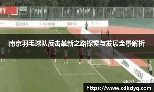 南京羽毛球队反击革新之路探索与发展全景解析