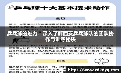 乒乓球的魅力：深入了解西安乒乓球队的团队协作与训练秘诀