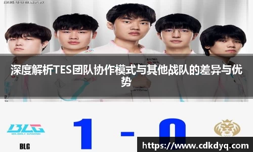 深度解析TES团队协作模式与其他战队的差异与优势