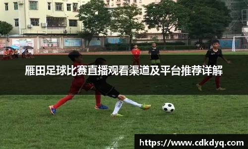 yy易游