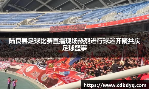 陆良县足球比赛直播现场热烈进行球迷齐聚共庆足球盛事
