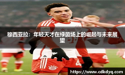 yy易游体育